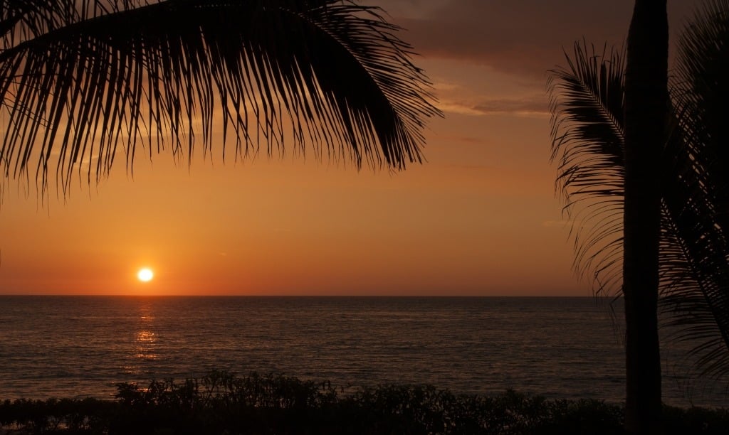 Beautiful tropical sunset with silhouette of palm trees.