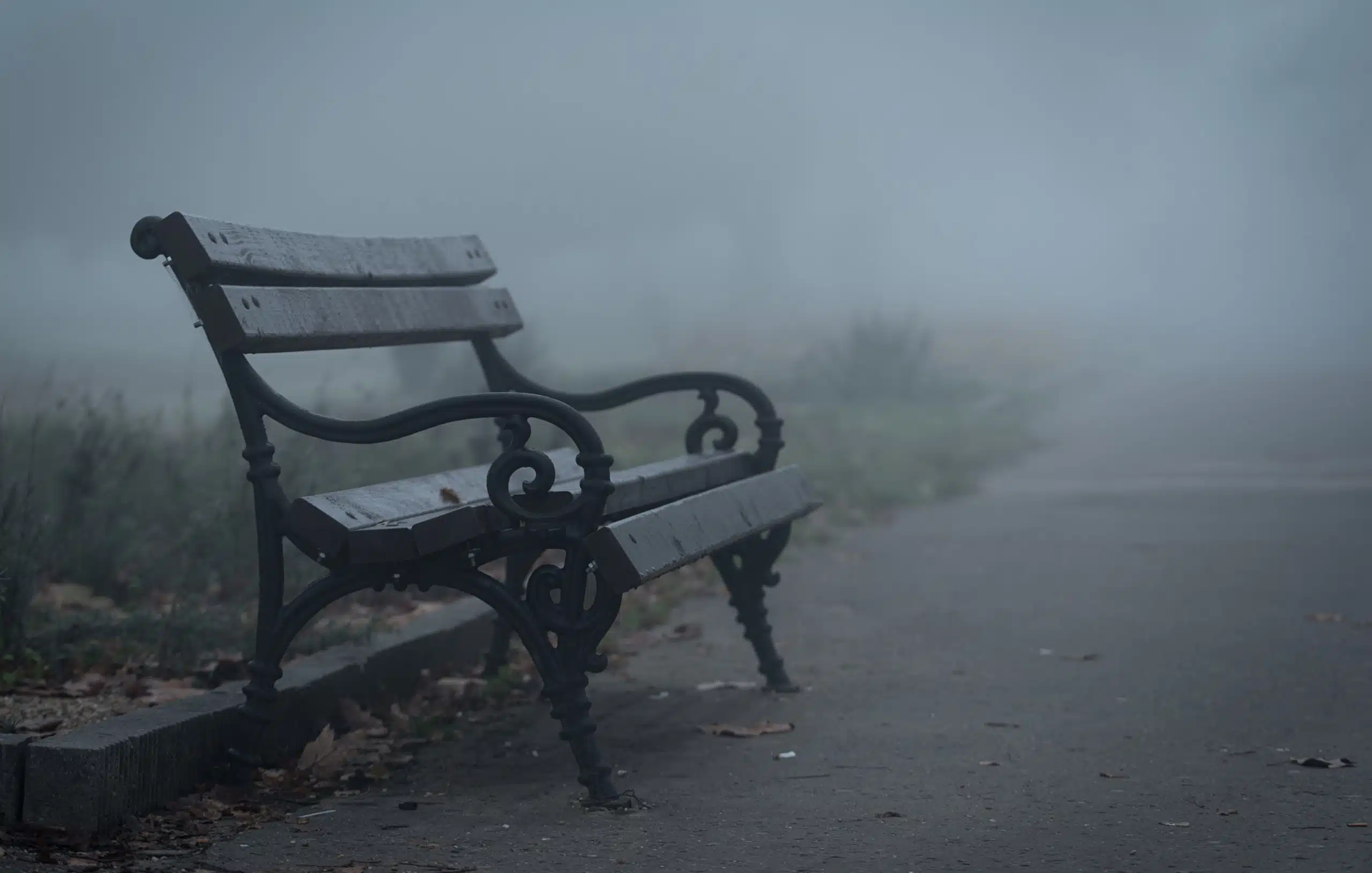Wooden bench in the park on a foggy day.