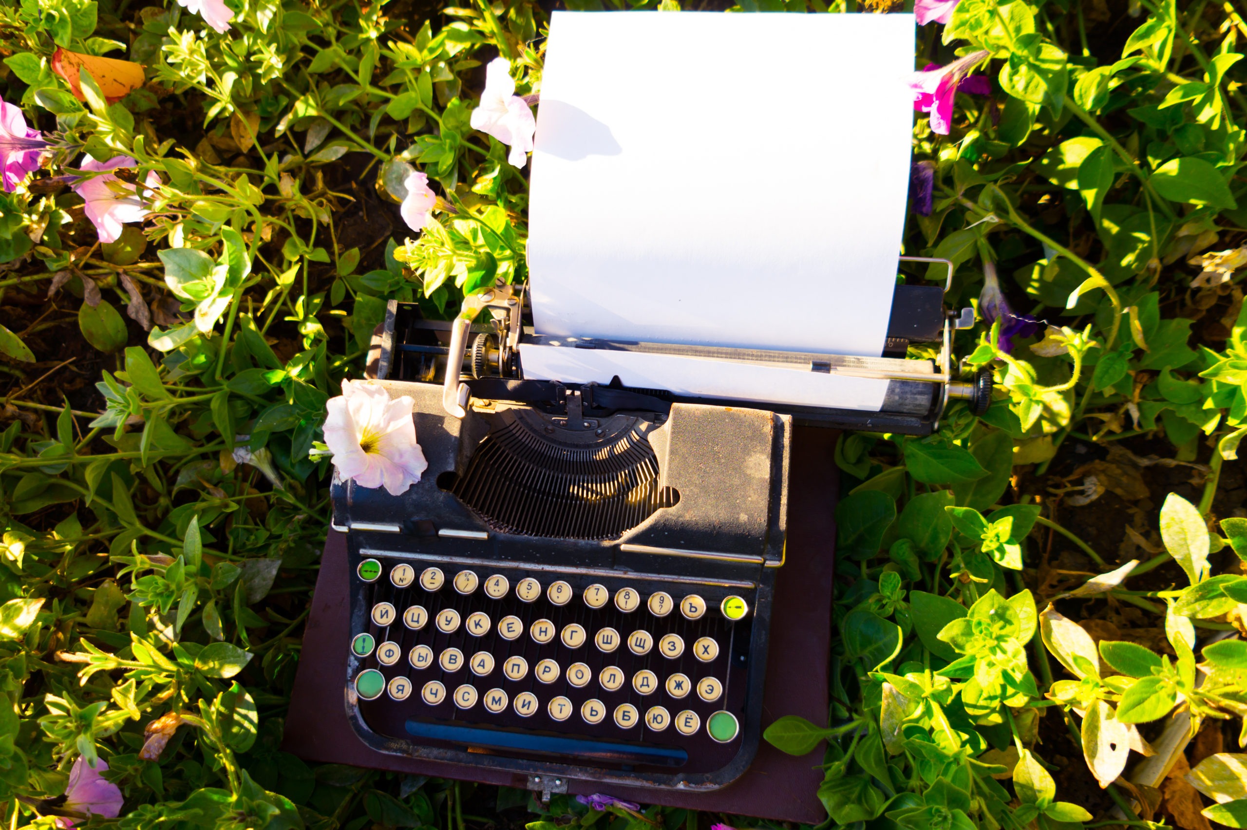 An old antique typewriter found in flowers.