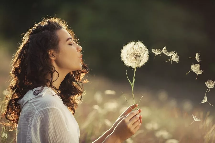 Beautiful young woman blows dandelion in a wheat field in the summer sunset.