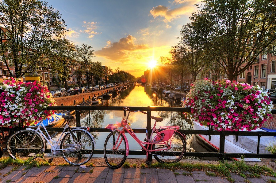 Beautiful sunrise over Amsterdam, The Netherlands, with flowers and bicycles on the bridge in spring.