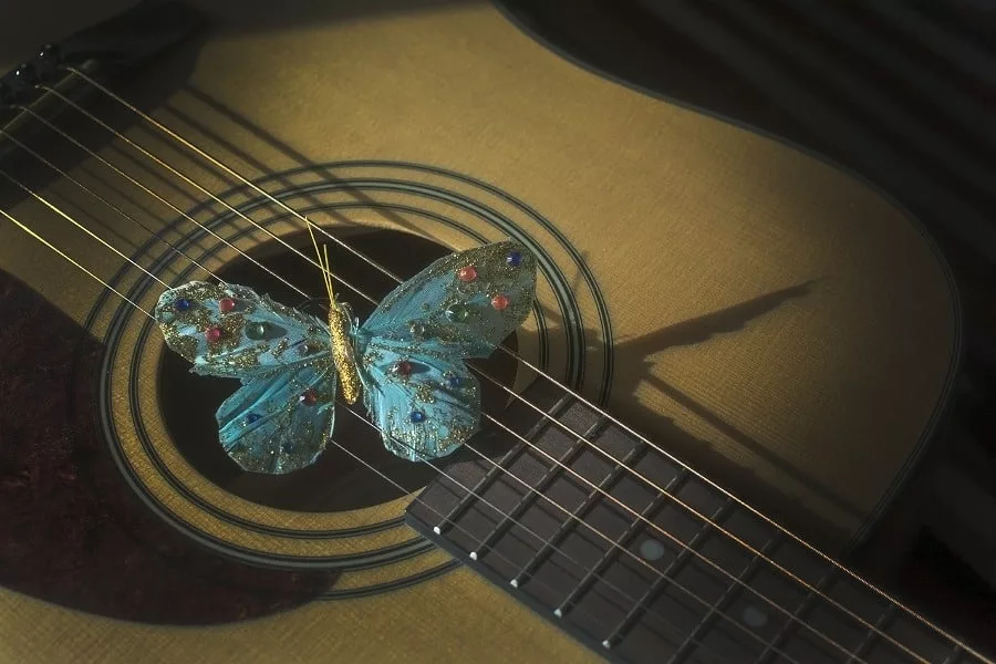 Turquoise butterfly atop strings of acoustic guitar.