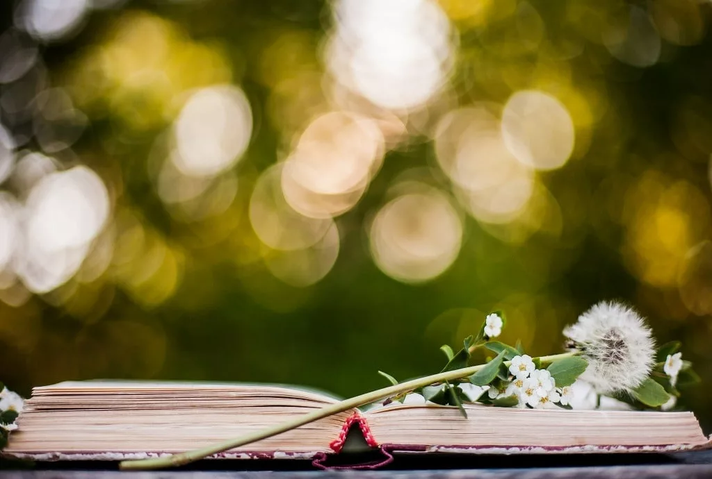 Poetry book with white flower on top outdoor.