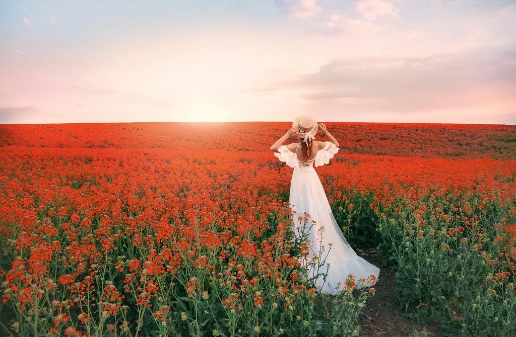 Medieval lady in historical clothes walking through a vast field of red flowers in sunlight.