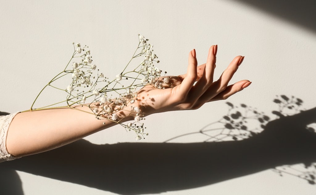 Female hand with white flowers on light background