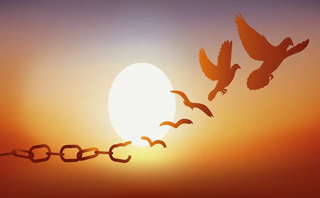 Bird flying away from chain