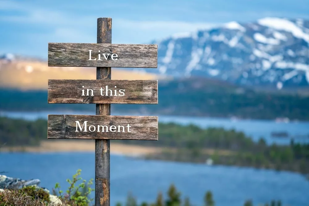 Live in this moment text on wooden signpost outdoors in landscape scenery.