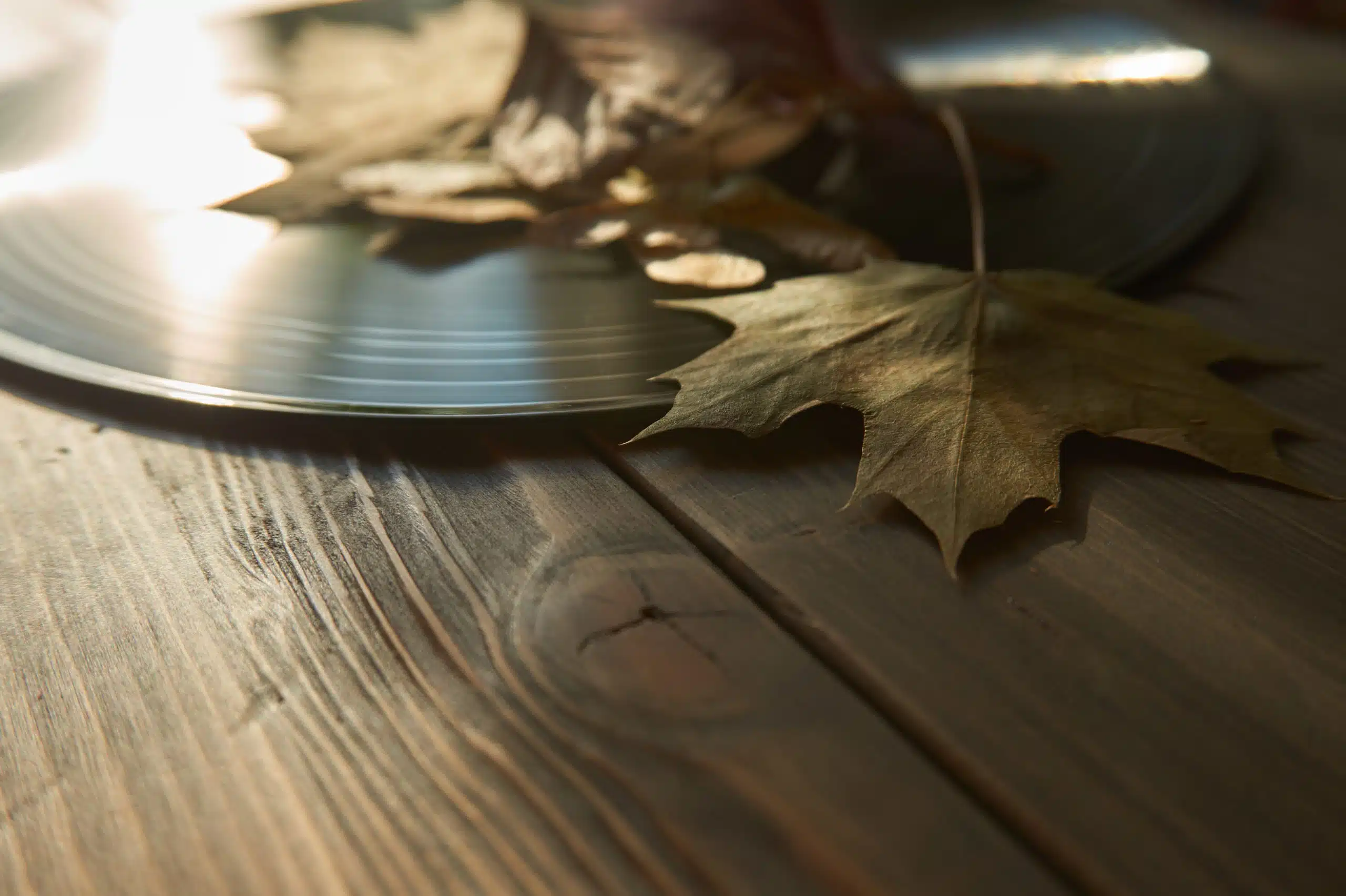 Vintage vinyl record and autumn leaves