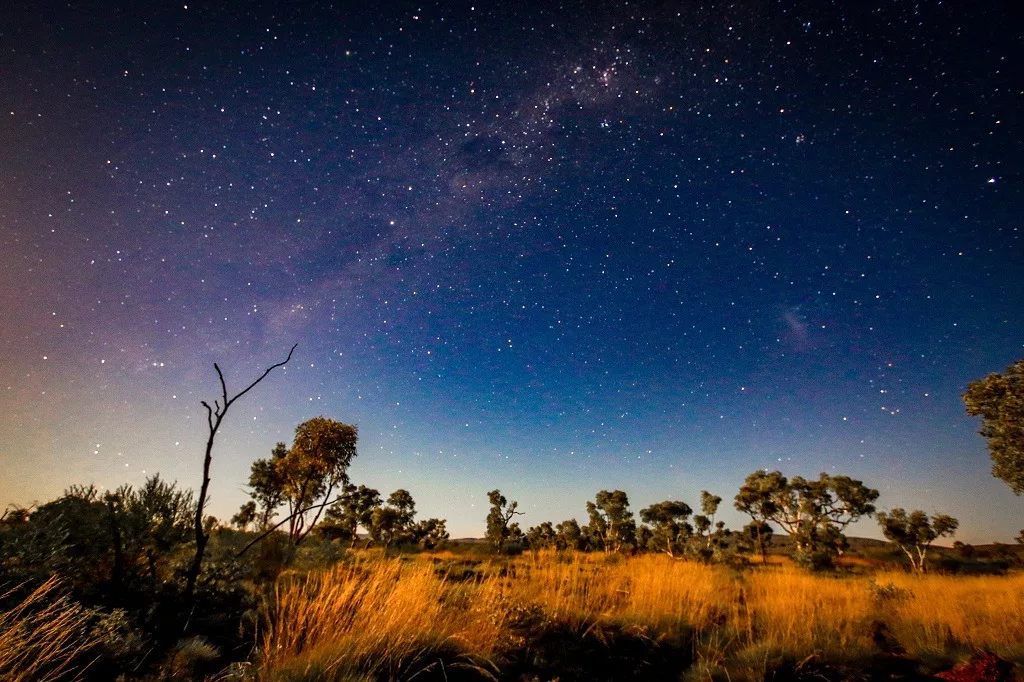Starry night sky over outback landscape.