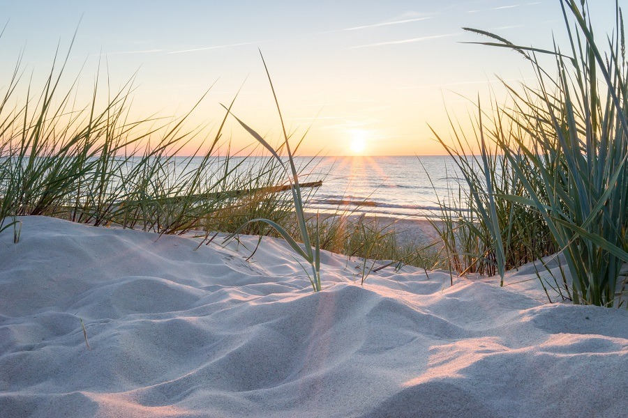 Beautiful sunset view through tall beach grasses on the Baltic Sea.