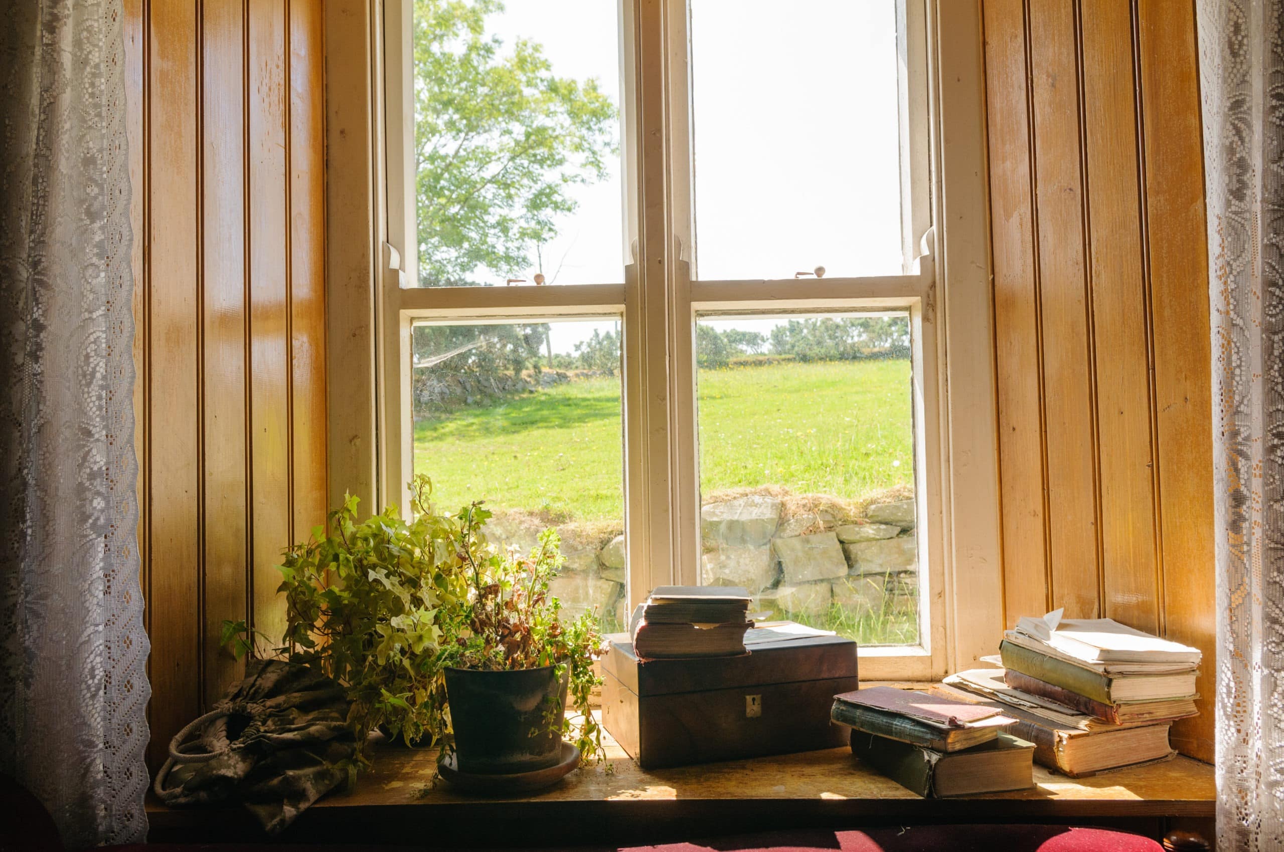 Plants and old books on a sunny windowsill of an Irish farmhouse
