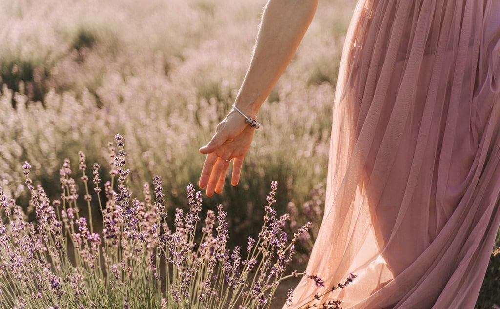 Woman hand touching lavender bushes on sunny day