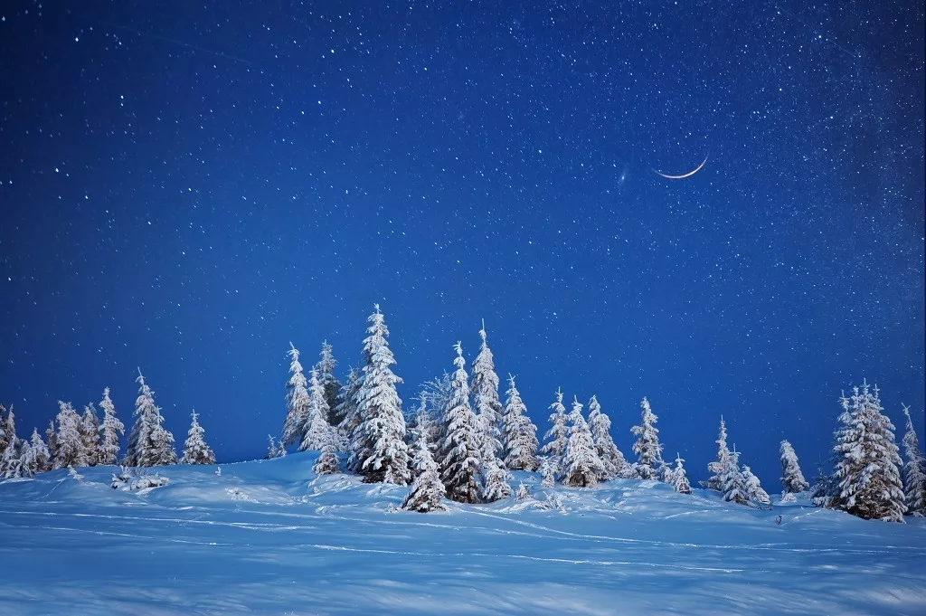 Pine trees on snowy mountain under the bright evening sky with white crescent moon. 
