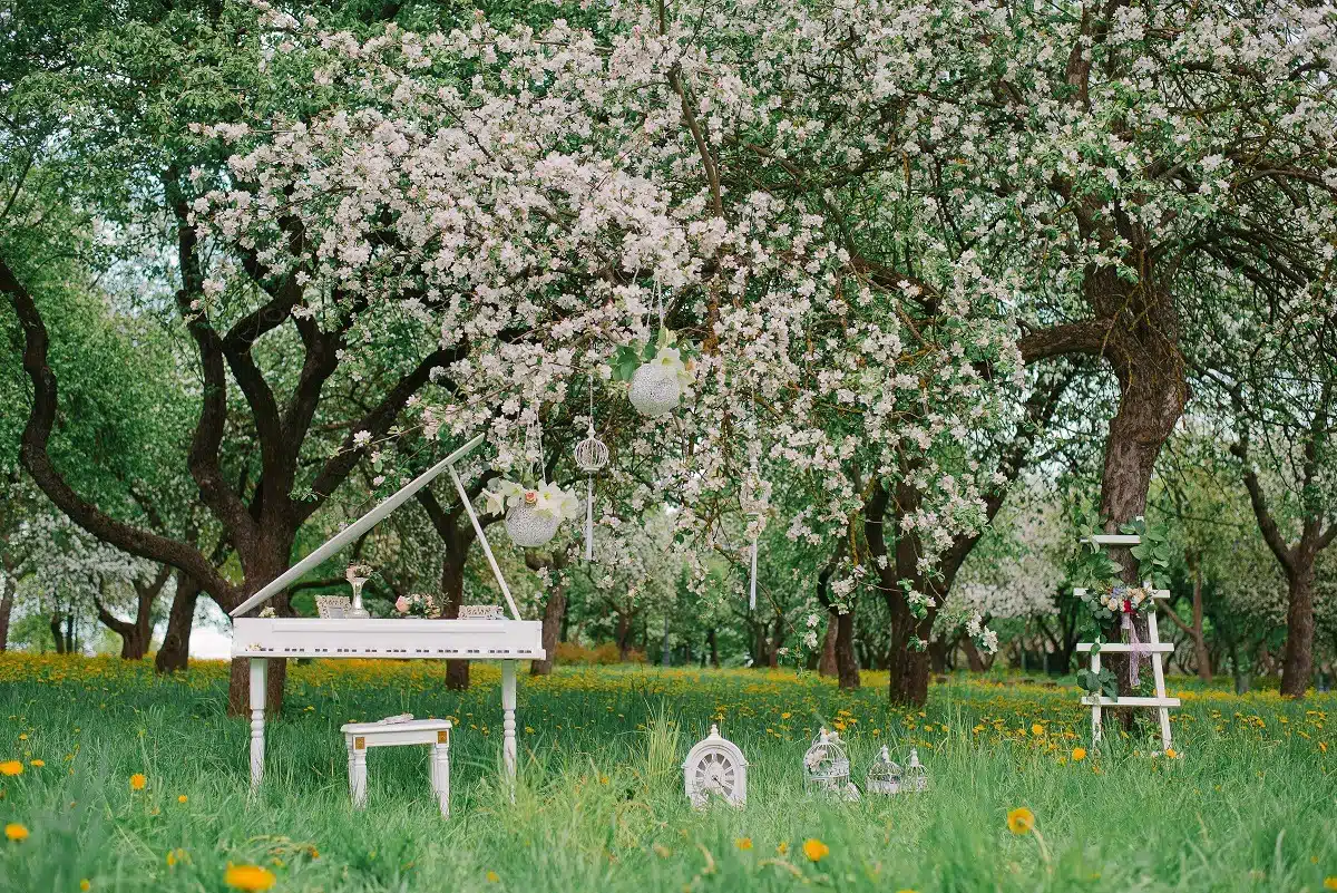 Decorative white stepladder and white Grand piano in a blooming garden in spring.