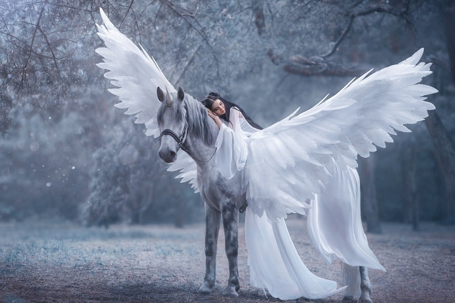 Beautiful, young woman dressed in white walking with a white winged horse. 