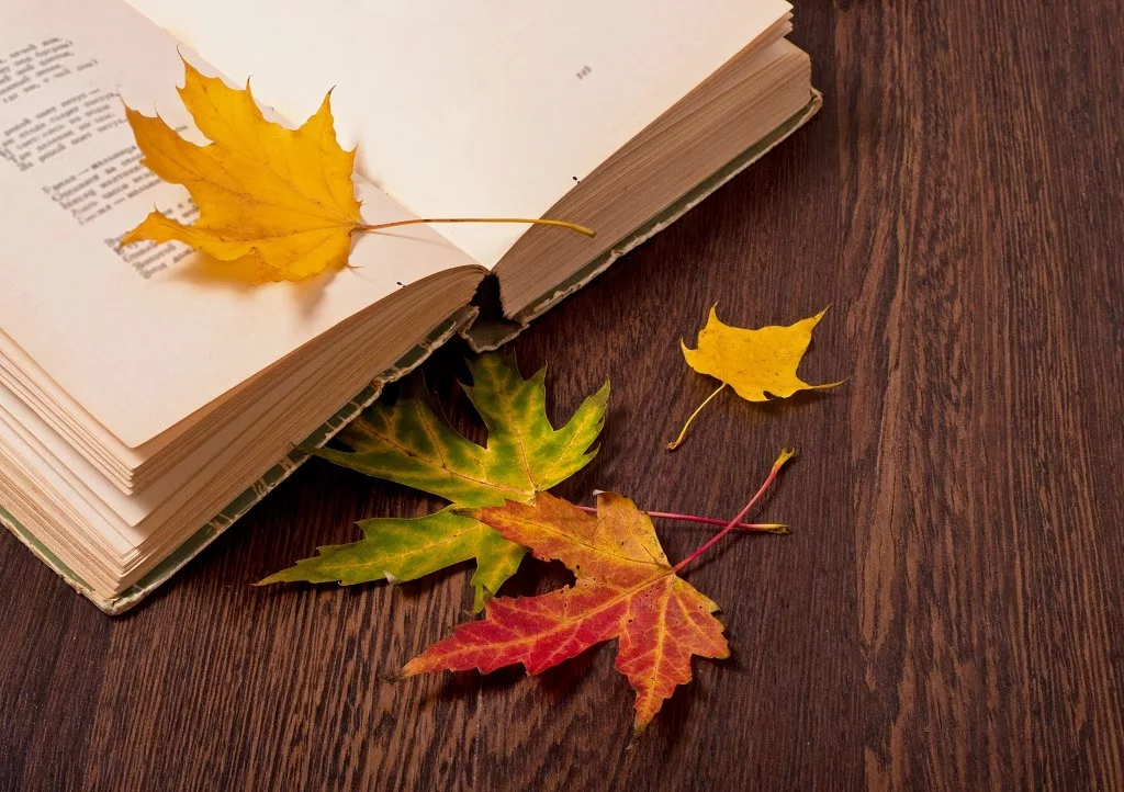 Open poetry book with autumn leaves.