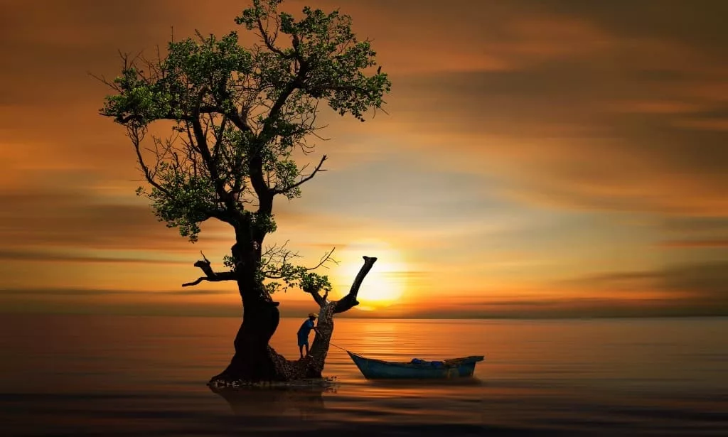 Boat and tree on an orange ocean at sunset