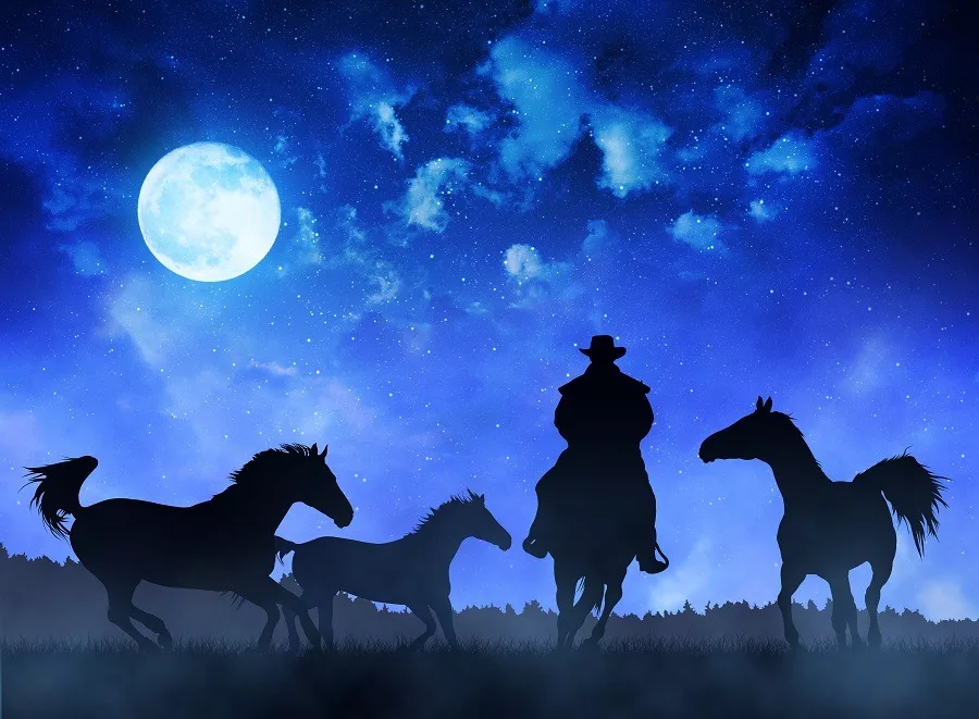 Silhouette cowboy with horses, blue night sky and night in the background.
