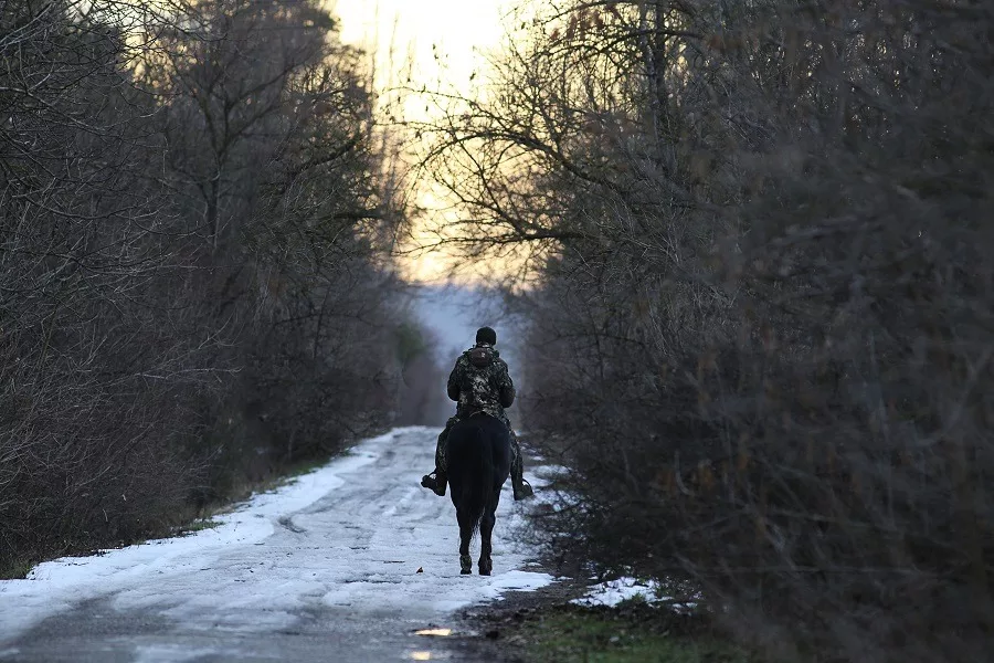 Man on his horse goes into the woods on a snowy road.