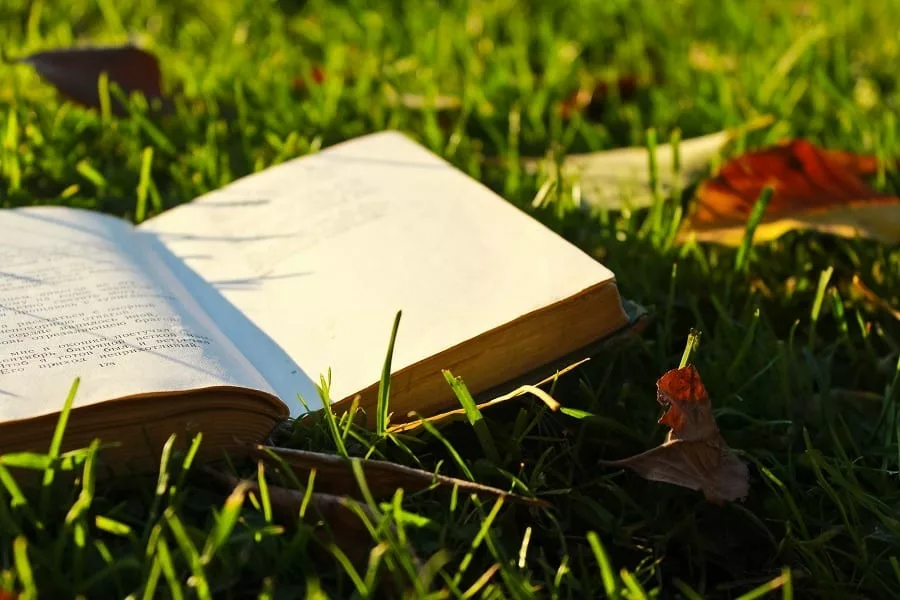 An open book on green grass.