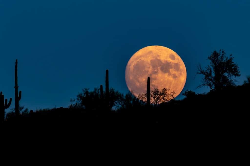 Orange moon over desert.