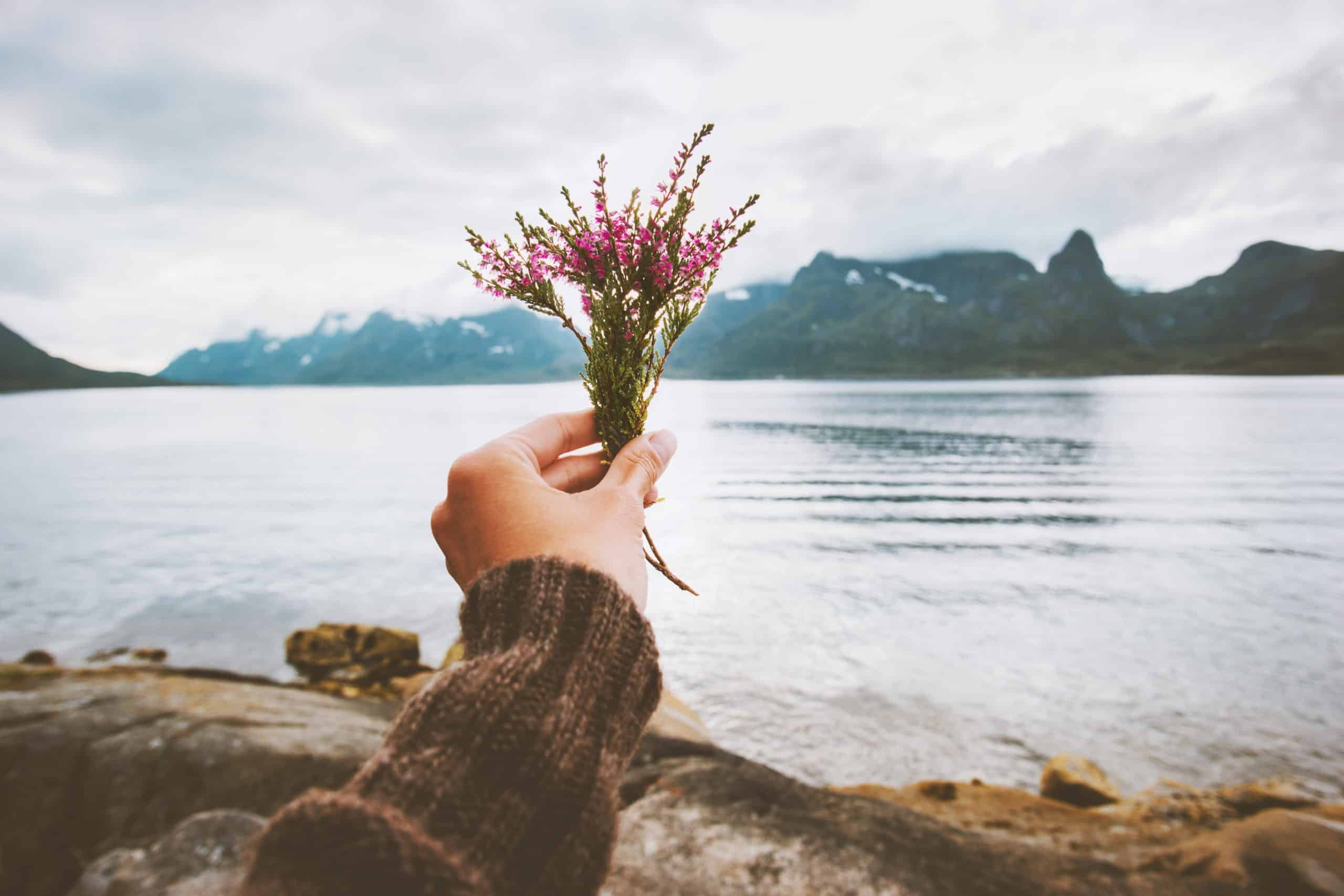 Female hand holding a tiny bouquet of small pink flowers on foggy mountains by the lake.