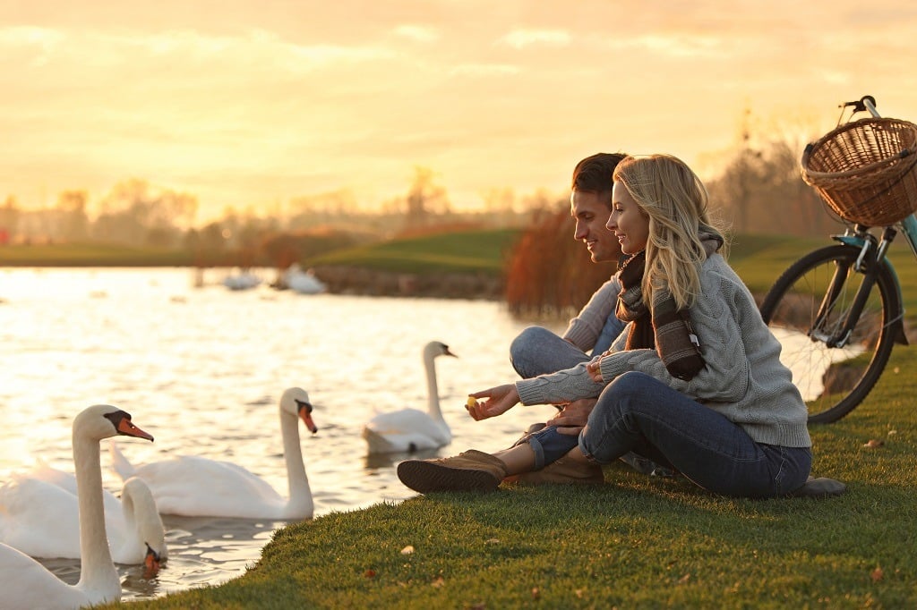Young couple near lake with swans at sunset.