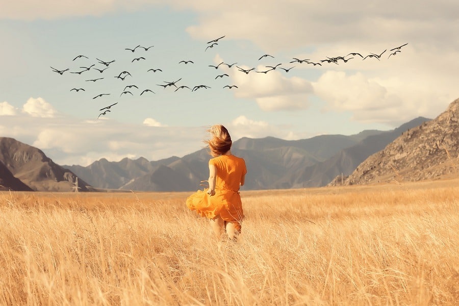 Woman in orange dress running freely in the field with flying birds above.