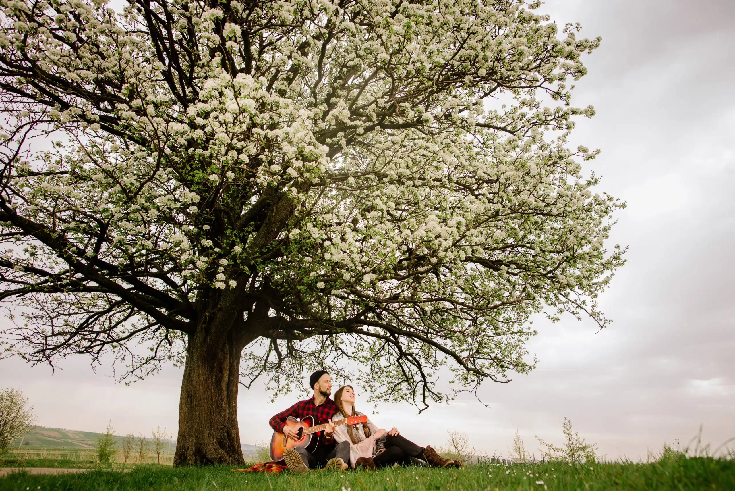 Young couple sitting under the big tree and man playing on the guitar.