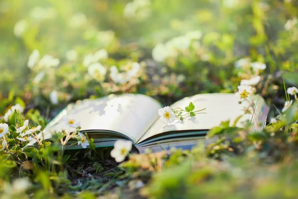 Opened book lays in the beautiful meadow of blooming wild strawberries.