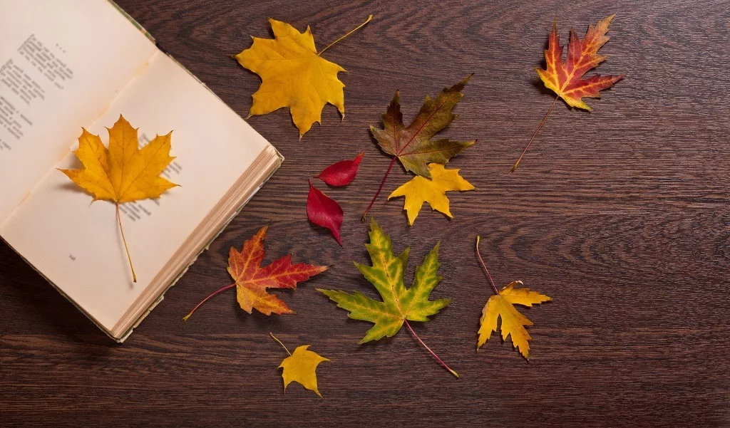  Autumn leaves on top of a poetry book.