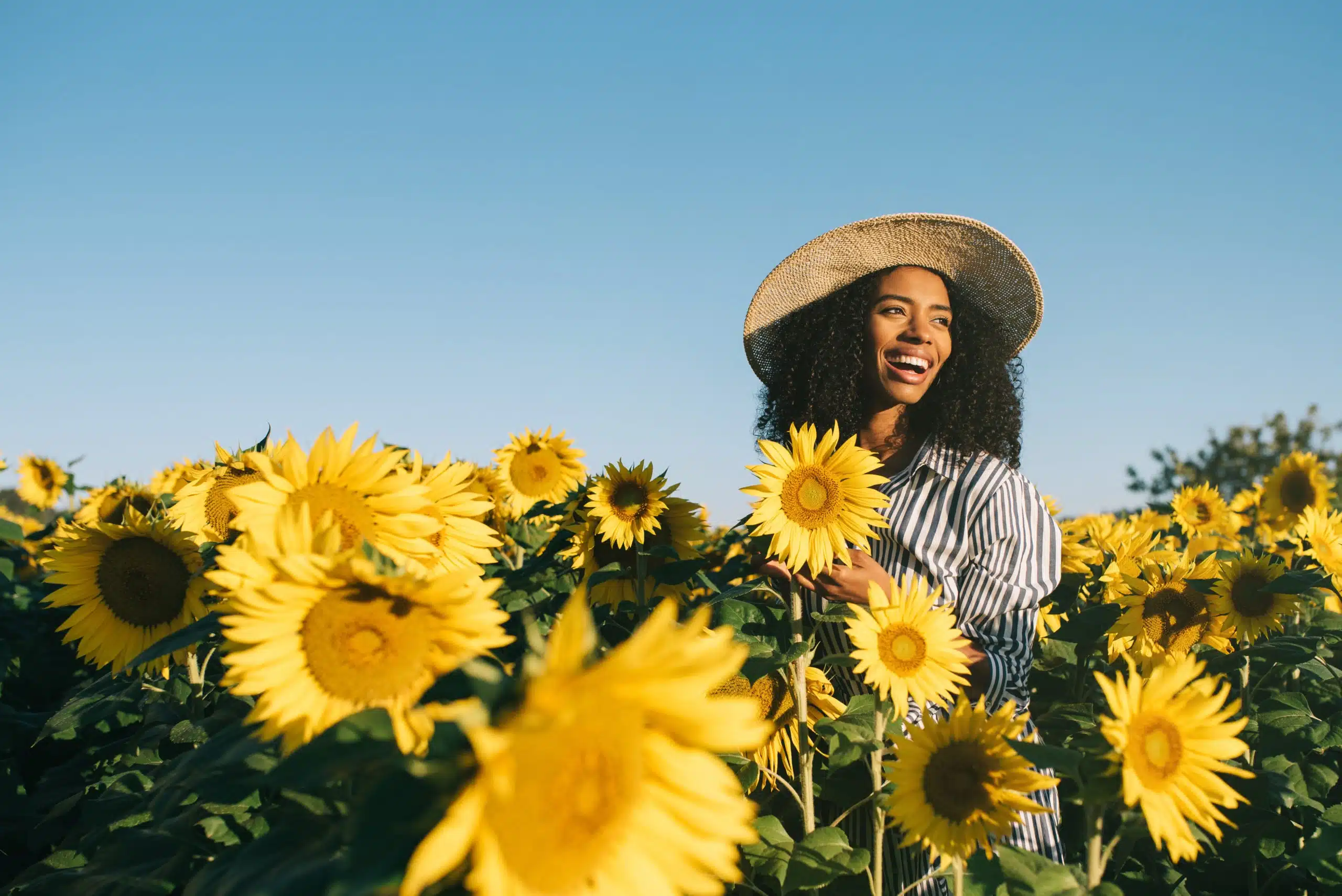 Happy young black woman in a sunflower field.