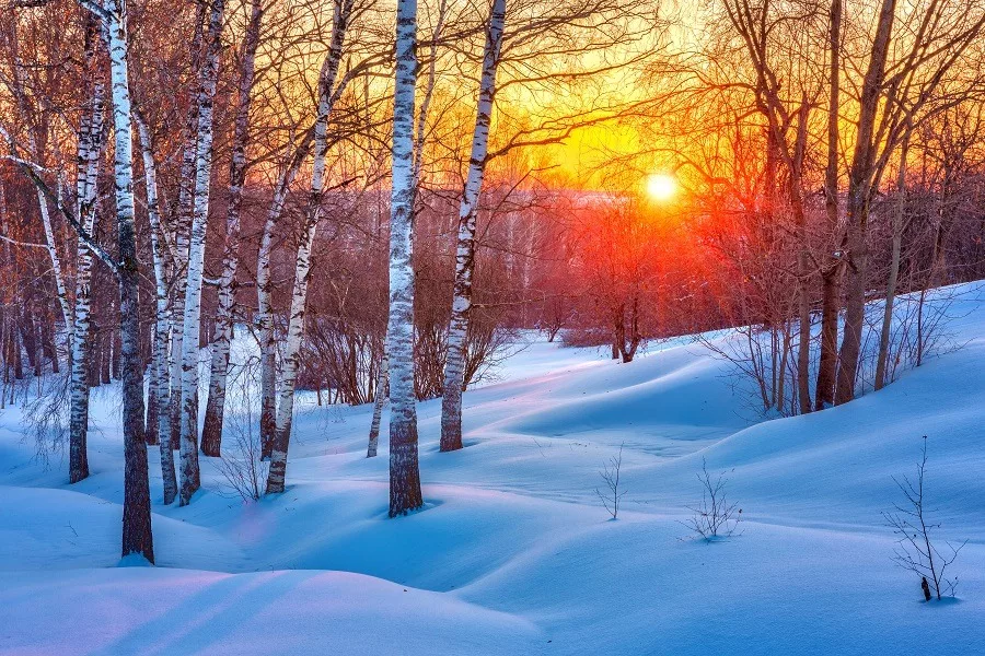 Colorful winter sunset.