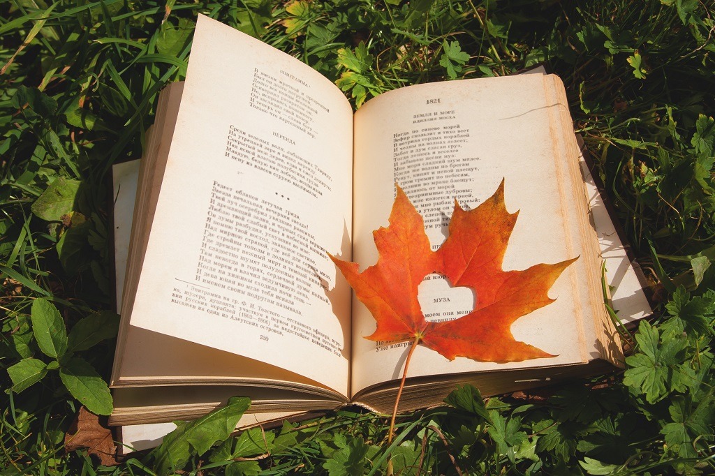An open book with a maple leaf in the form of a heart lies in the grass.