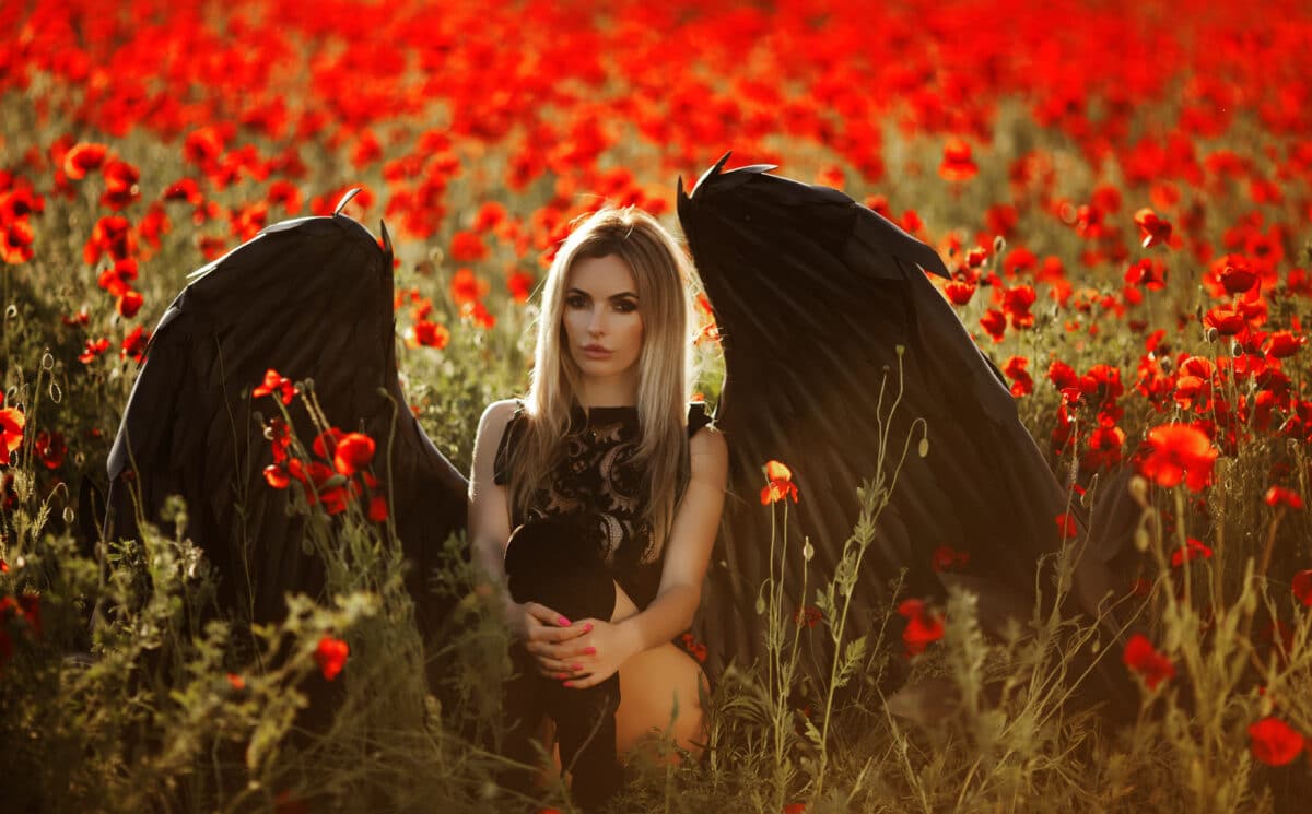 black angel in a field of fabulous red flowers. beautiful girl with white hair in a glamorous black dress with black wings in a poppy field. fallen angel
