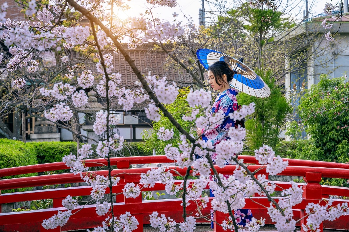 Asian woman wearing japanese traditional kimono and cherry blossoms.