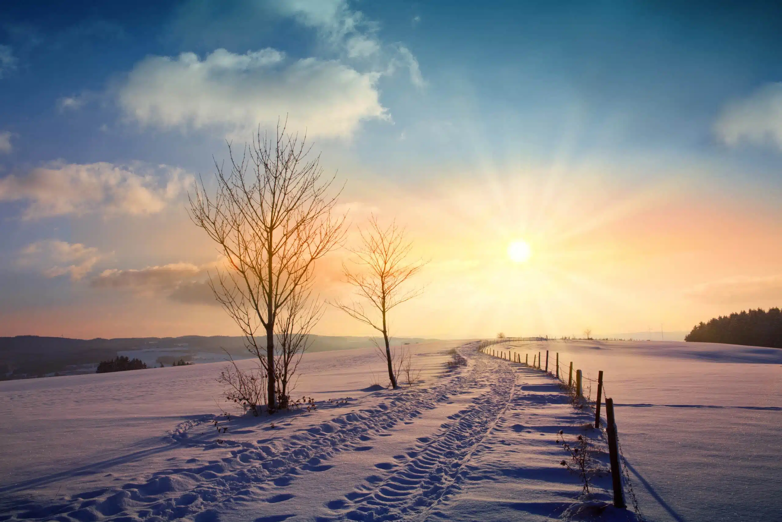 Winter sunset landscape with tree and field way