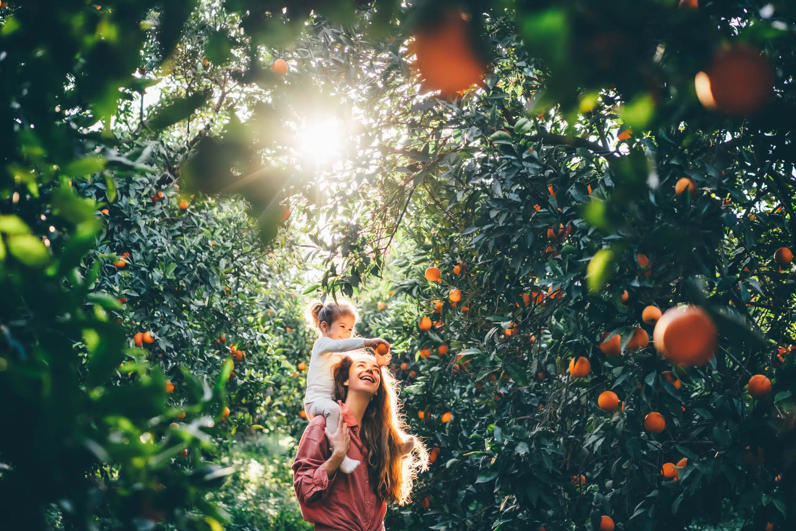 Young mother and child pick fresh oranges on a summer day.