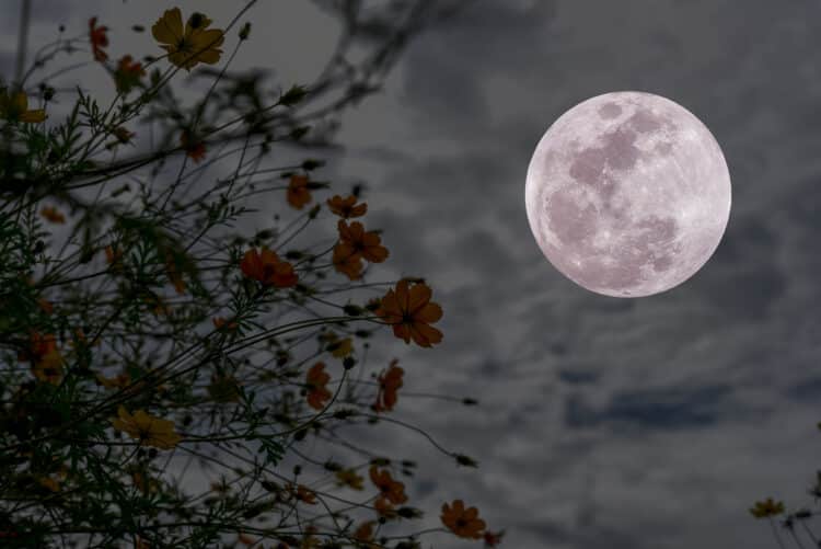 35 Mystical Poems About the Moon (+ My #1 Favorite)