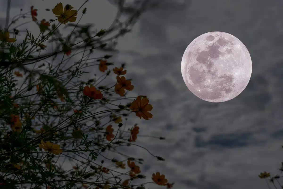 35 Mystical Poems About the Moon (+ My #1 Favorite)