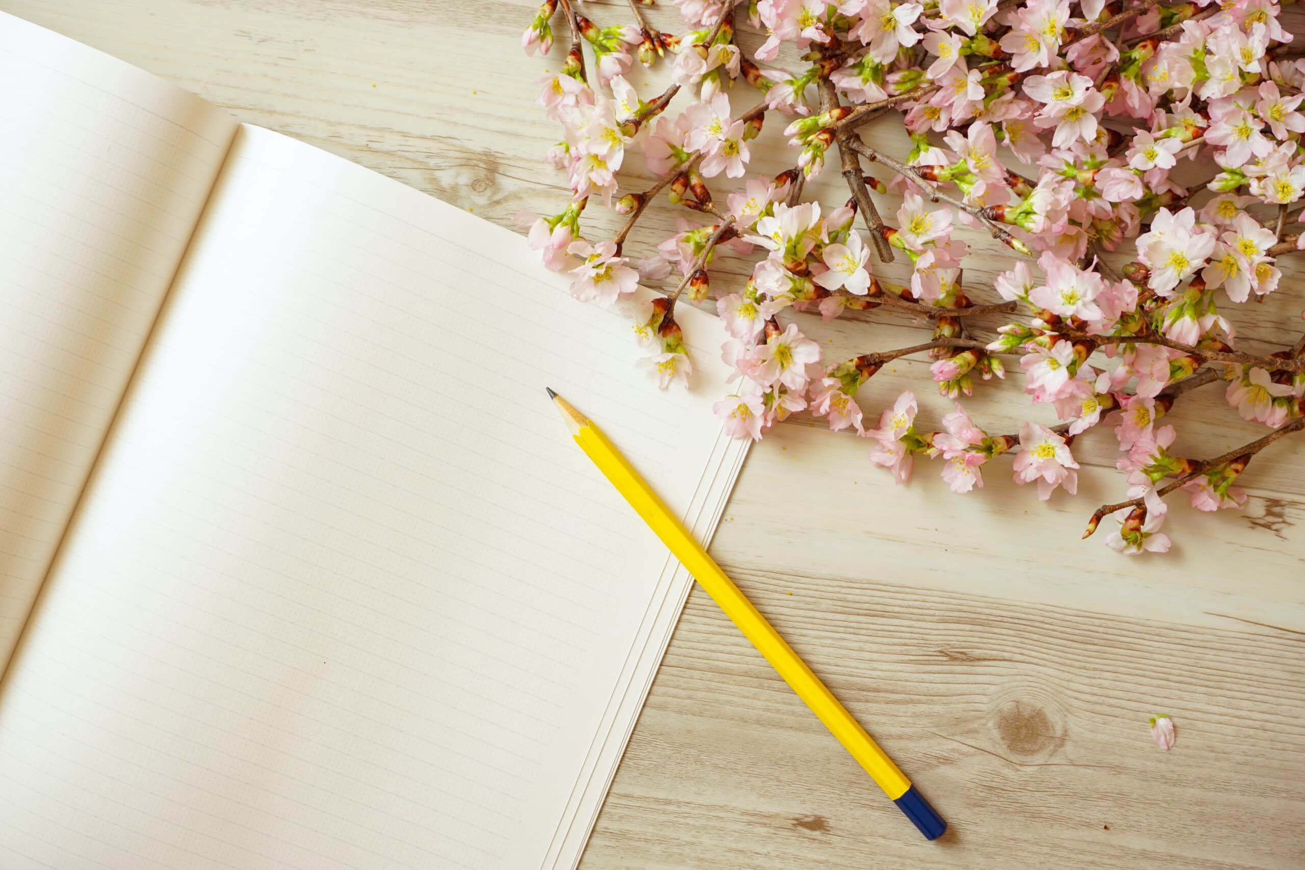 Cherry blossoms, notepad, and a pencil on wooden desk