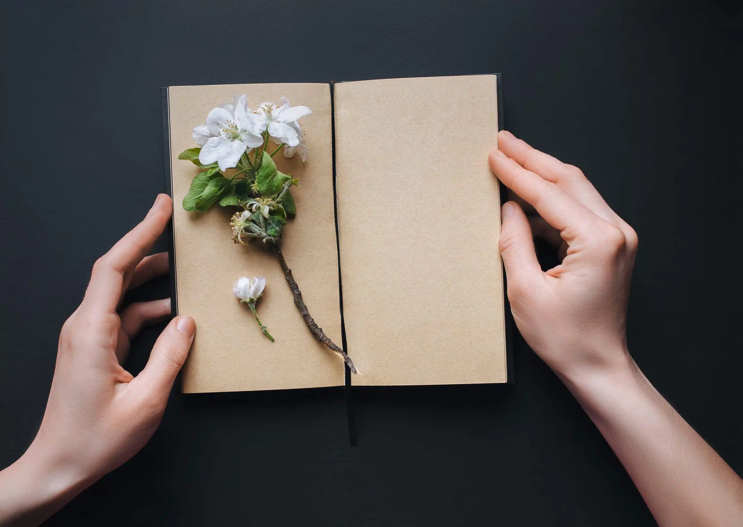 Female hand touch a beige notebook with a sprig of a apple tree blossoms.