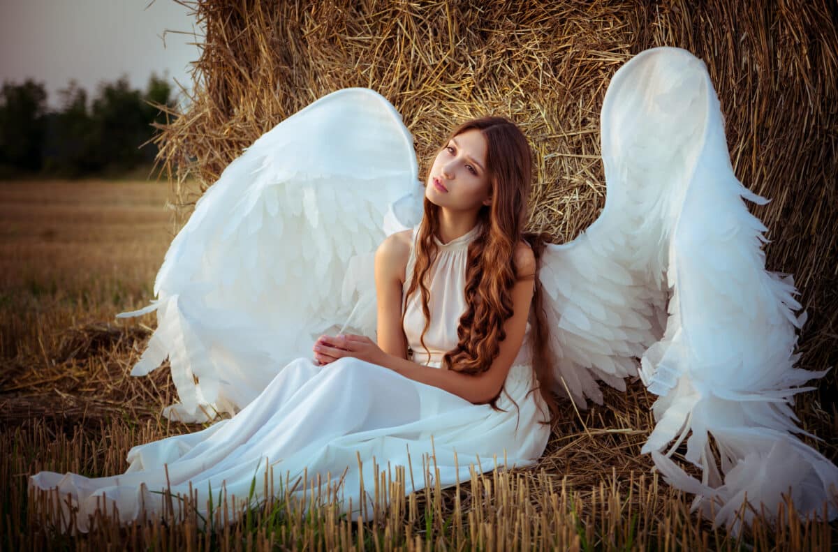 beautiful girl with angel wings is sitting front of the hay on t