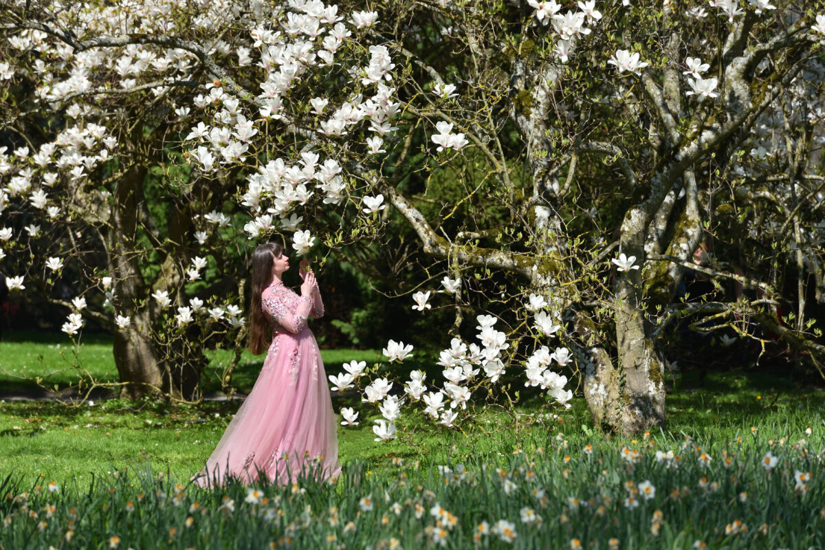 A young lady in a lush pink dress standing next to a blooming magnolia tree in the garden