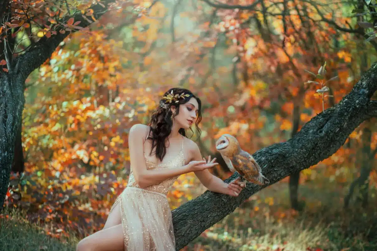 wood nymph relaxing with a brown owl on a low branch tree 