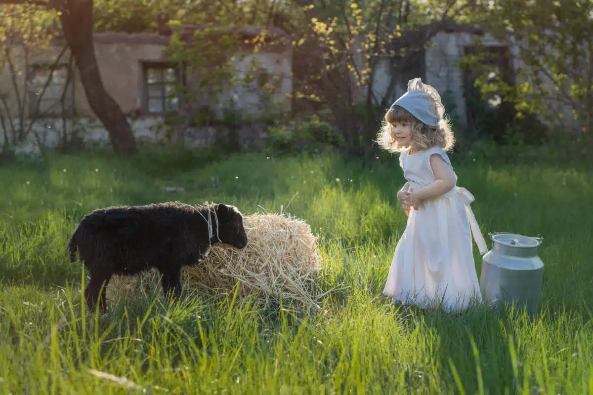 A beautiful child is playing in the garden with a black sheep