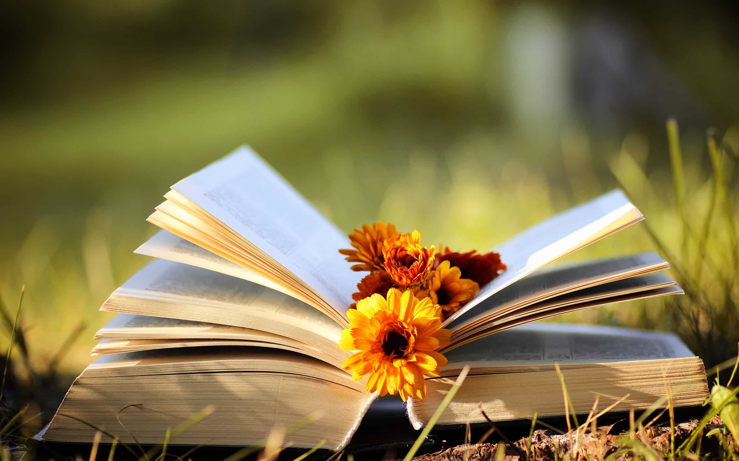 Opened book with flowers inserted in between pages outdoor in autumn.