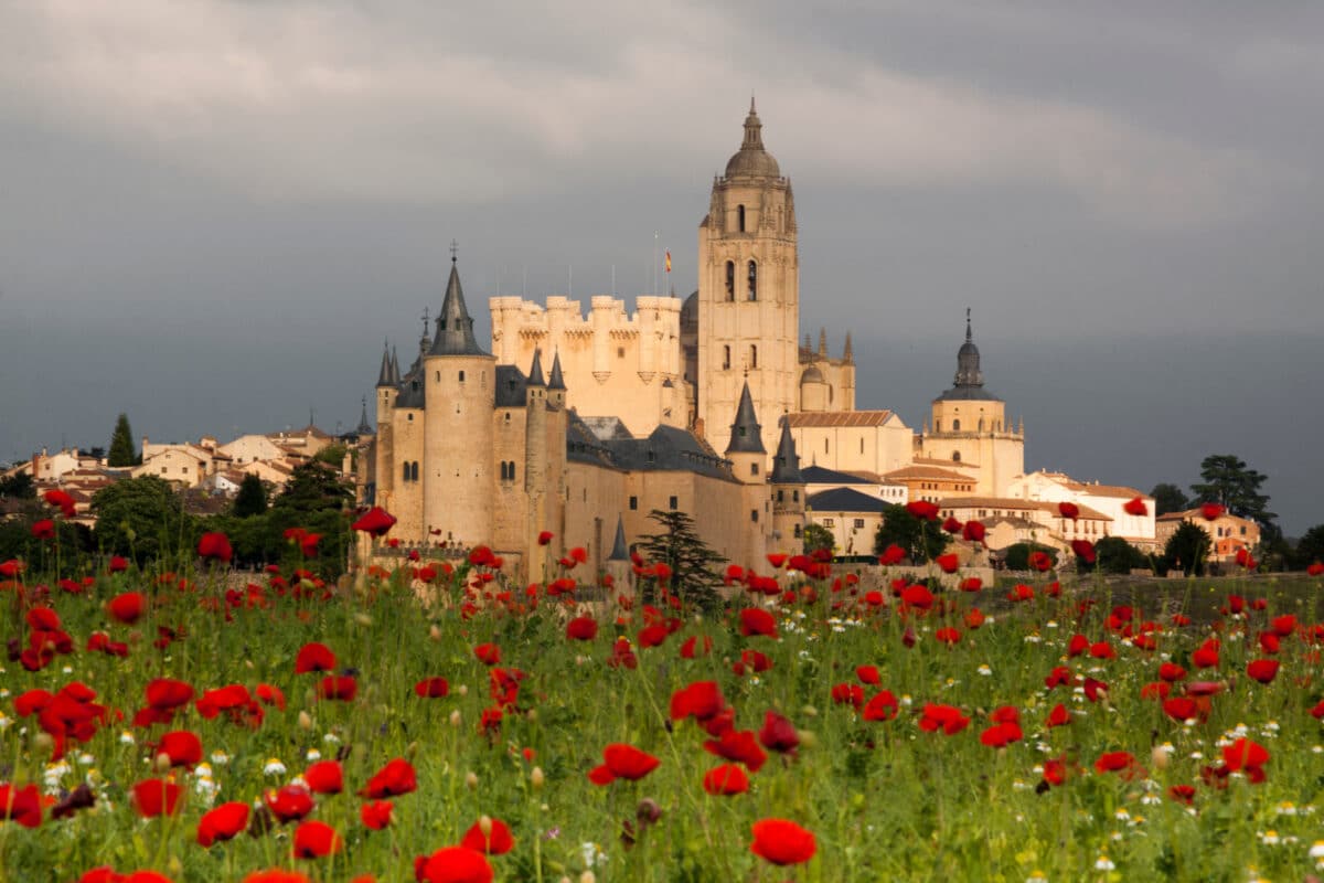 a castle in the field of scarlet poppies
