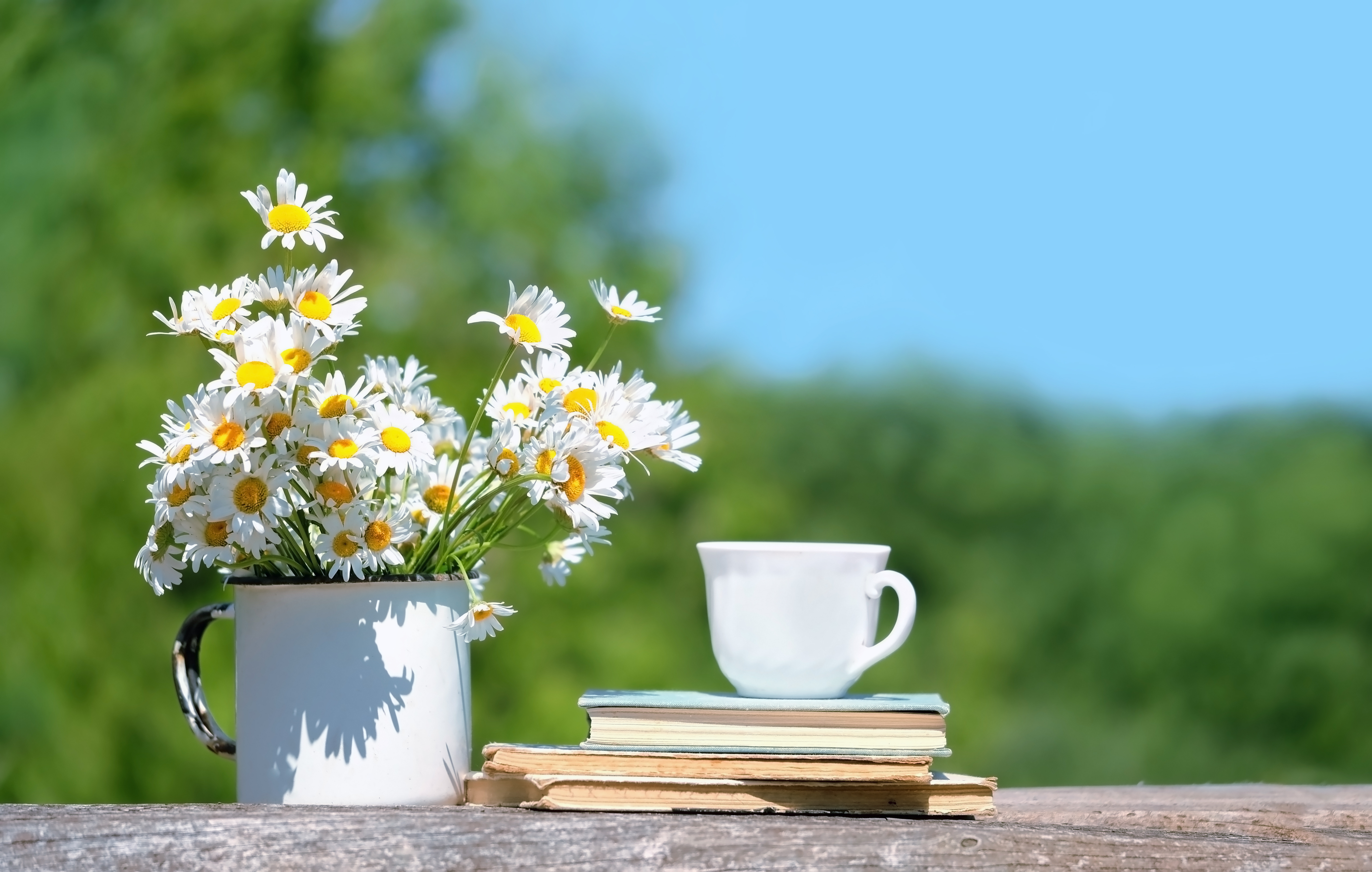 Tea cup, bouquet of daisies and book on table in garden.