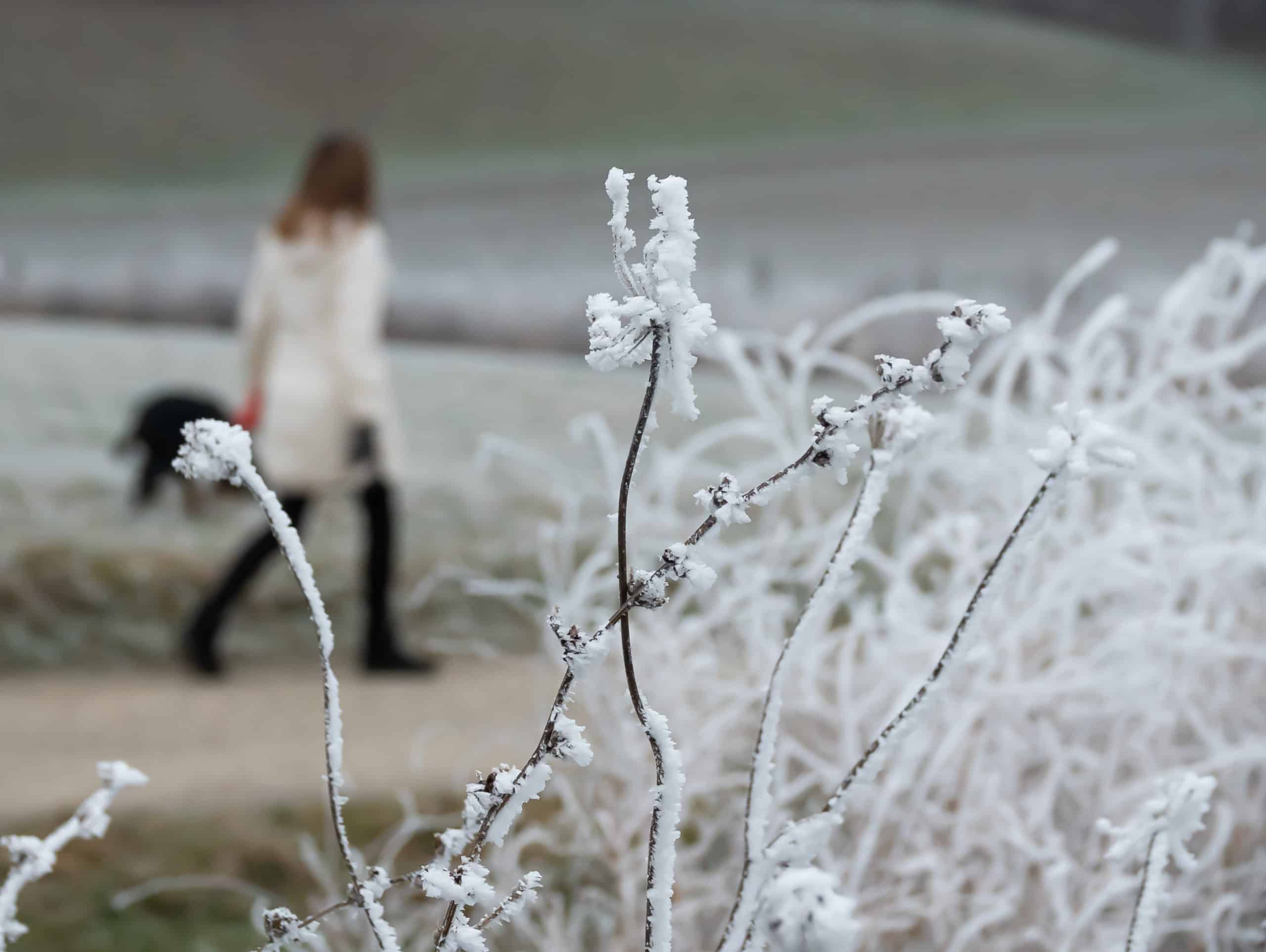 Woman walking away in wintertime